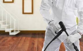 شركة مكافحة حشرات ام القيوين